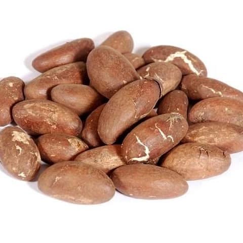 Bitter Kola Nuts – 100% Natural Whole Garcinia Kola | 1kg (2.2lbs) | African Superfood for Wellness & Herbal Use