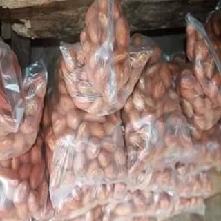 Bitter Kola Nuts – 100% Natural Whole Garcinia Kola | 1kg (2.2lbs) | African Superfood for Wellness & Herbal Use